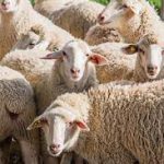 دکتر کورش سالاری/ لحظه‌ای اندیشه
