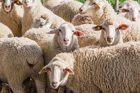 دکتر کورش سالاری/ لحظه‌ای اندیشه